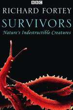 Watch Survivors: Nature's Indestructible Creatures 123moviesfree