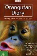 Watch Orangutan Diary 123moviesfree