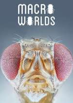 Watch Macro Worlds 123moviesfree