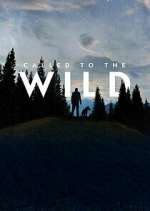 Watch Called to the Wild 123moviesfree
