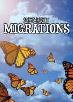 Watch Secret Migrations 123moviesfree