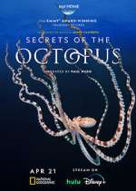 Watch Secrets of the Octopus 123moviesfree