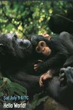 Watch Hello World! 123moviesfree