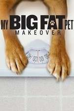 Watch My Big Fat Pet Makeover 123moviesfree