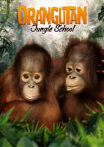Watch Orangutan Jungle School 123moviesfree