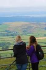 Watch Walks of Life 123moviesfree