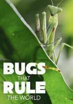 Watch Bugs that Rule the World 123moviesfree