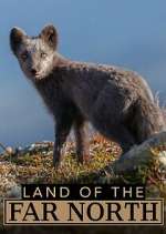 polartag/polarnacht tv poster