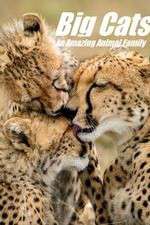 Watch Big Cats: An Amazing Animal Family 123moviesfree