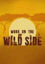 Watch Work on the Wild Side 123moviesfree