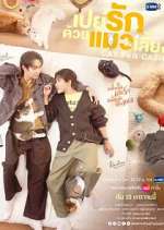 Watch Cat for Cash 123moviesfree