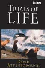 Watch The Trials of Life 123moviesfree
