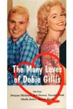 Watch The Many Loves of Dobie Gillis 123moviesfree