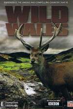 Watch Wild Wales 123moviesfree