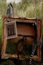Watch Anna's Wild Life 123moviesfree