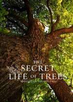 Watch The Secret Life of Trees 123moviesfree