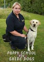 Watch Puppy School for Guide Dogs 123moviesfree