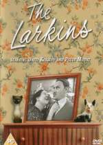 Watch The Larkins 123moviesfree
