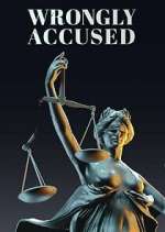 Watch Wrongly Accused 123moviesfree