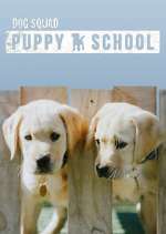 Watch Dog Squad: Puppy School 123moviesfree