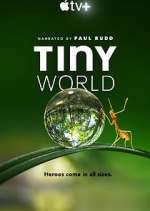 Watch Tiny World 123moviesfree
