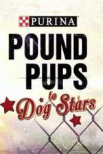 Watch Purina Pound Pups To Dog Stars 123moviesfree