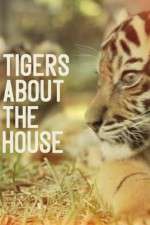 Watch Tigers About the House 123moviesfree