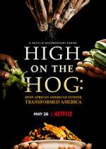 Watch High on the Hog: How African American Cuisine Transformed America 123moviesfree
