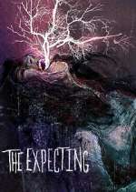 Watch The Expecting 123moviesfree
