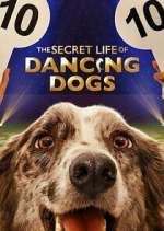 Watch The Secret Life of Dancing Dogs 123moviesfree