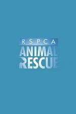 Watch RSPCA Animal Rescue 123moviesfree