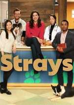 Watch Strays 123moviesfree