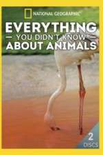 Watch Everything You Didnt Know About Animals 123moviesfree