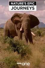 Watch Nature's Epic Journeys 123moviesfree