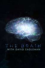 Watch The Brain with Dr David Eagleman 123moviesfree