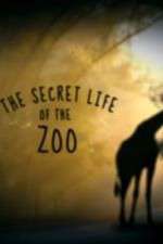 Watch The Secret Life of the Zoo 123moviesfree